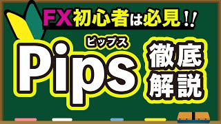 【 FX 入門講座 】Pips（ピップス）の意味や仕組みをわかりやすく解説！ [upl. by Adneram441]