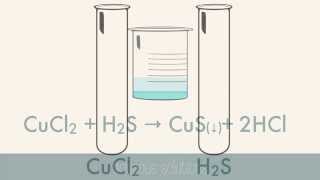 Reactions in Aqueous Solutions [upl. by Aidnac37]