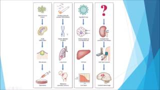 Pathology  Introduction and disease nomenclature [upl. by Priscilla]