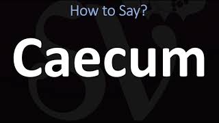 How to Pronounce Caecum CORRECTLY [upl. by Laurence66]