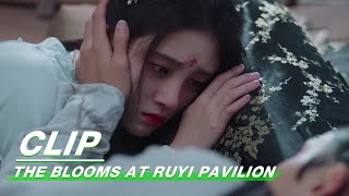 Clip Duke Expresses Love To Ju Jingyi After Drunk  The Blooms At RUYI Pavilion EP21  如意芳霏  iQIYI [upl. by Valene]