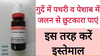 Berberis Vulgaris uses amp benefits in Hindi  गुर्दे की पथरी की छुटकारा [upl. by Cleres886]