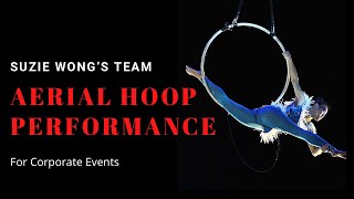 AERIAL HOOP Performance [upl. by Aeriell663]