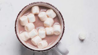 How to Make Hot Cocoa  Rich Chocolatey and Homemade [upl. by Nagy]