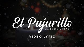 Marcos Vidal  El Pajarillo Video Lyric [upl. by Leanahtan]