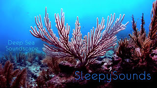 Deep Sea Soundscape – 9 hours of underwater ambience – Deep Ocean Sleep Sounds [upl. by Reeves]