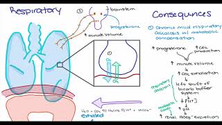 Maternal Changes in Pregnancy [upl. by Yursa]