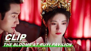 Clip Ju Jingyi amp Zhang Zhehan Get Married  The Blooms At RUYI Pavilion EP40  如意芳霏  iQIYI [upl. by Uno]