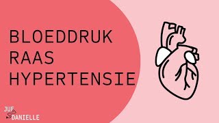 Bloeddruk RAAS en hypertensie [upl. by Ahsinna]