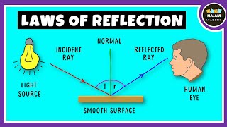 Laws of Reflection of Light Physics [upl. by Eidnahs]