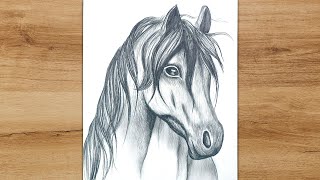 How to Draw a Horse Head Step by Step  Realistic Animal Drawing [upl. by Eilrak]