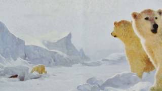 Ice Bear In the Steps of a Polar Bear Read Aloud [upl. by Keeton866]