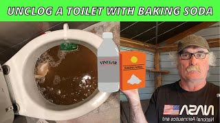 How To Unclog A Toilet With Baking Soda [upl. by Marek]