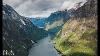 8K ● Nature Videos high resolution [upl. by Lerner]