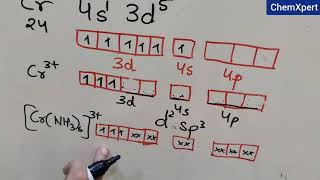 Valence Bond Theory of Coordination Compounds  Chapter 9  Class 12  Chemistry  NCERT  CBSE [upl. by Karr159]