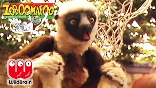 Zoboomafoo  EPISODE COMPILATION Happy Lemur Day  Animals For Kids [upl. by Anauqaj]