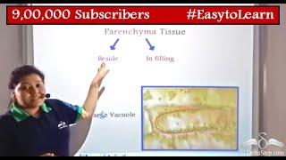 Parenchyma Tissue  Diagram  Functions  Class 9  CBSE  NCERT  ICSE [upl. by Marylynne]