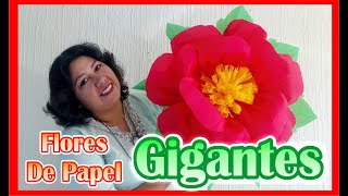 DIY  Como Hacer Flores De Papel Crepe  GIGANTES [upl. by Pauiie991]