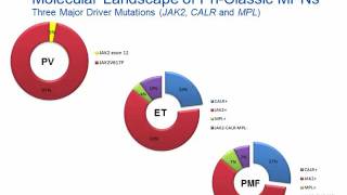 Myeloproliferative Neoplasm Hot Topic [upl. by Sirrad]