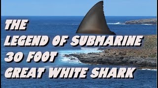 The Legend Of Submarine  30 Foot Great White Shark [upl. by Ramor]