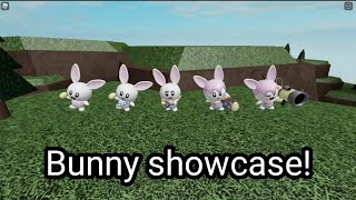 ROBLOX Tower Heroes  Bunny Showcase [upl. by Orren]