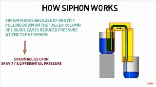 How siphon works [upl. by Fabria]