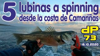 Pesca de 5 lubinas a spinning desde la costa de Camariñas Fishing 5 seabass from the coast [upl. by Cthrine]