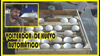 VOLTEADOR DE HUEVOS AUTOMÁTICO PARA INCUBADORA CASERA [upl. by Deni]