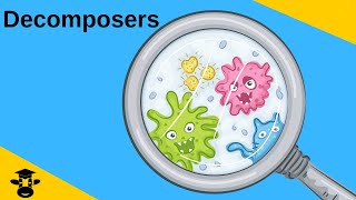 Whats a Decomposer Saprotrophs and Detritivores [upl. by Ellenuahs]