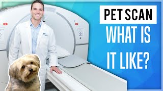 PET Scan What Is It Like [upl. by Inga]