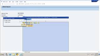 SAP Basis  Import Export Client [upl. by Viccora]