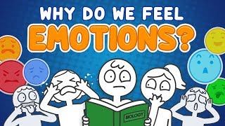 Why do we feel emotions [upl. by Hannah]