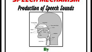 Production of Speech Sounds [upl. by Adrien454]