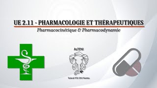 UE 211 S1  Pharmacocinétique et Pharmacodynamie [upl. by Nhguav]