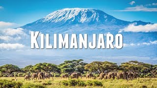 CLIMBING MOUNT KILIMANJARO [upl. by Celia]