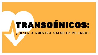 Transgénicos ¿Ponen a nuestra salud en peligro [upl. by Briano655]