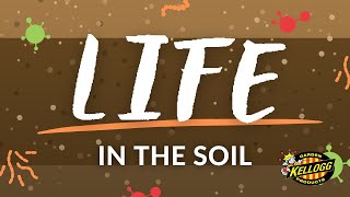 Life in the Soil [upl. by Niac249]