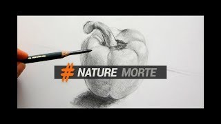 DESSINER DES NATURES MORTES OU OBJETS DU QUOTIDIEN [upl. by Ailen]