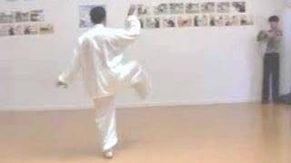 Zhao Bao Tai Chi Master Wayne Peng [upl. by Sturdivant]