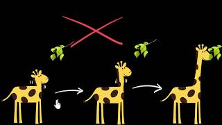 Acquired vs inherited traits  Heredity amp Evolution  Biology  Khan Academy [upl. by Ahsitruc935]