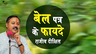 Rajiv Dixit  बेलपत्र के फायदे  Wonder health Benefits Bilva patra leaves [upl. by Dulcine]