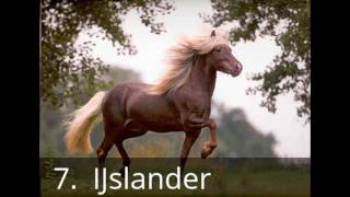 top 10 mooiste paardenrassen [upl. by Drake215]