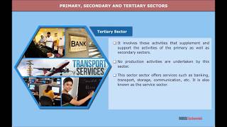 Sectors of the Indian Economy  Economics  Class 10 [upl. by Aihsar397]