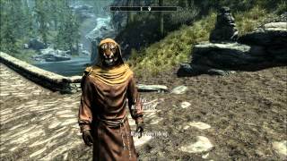 Skyrim Funny Moments [upl. by Stevena]