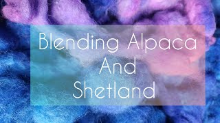 Blending Alpaca and Shetland [upl. by Ebanreb979]