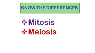 Cell Division Mitosis amp Meiosis [upl. by Bosch]