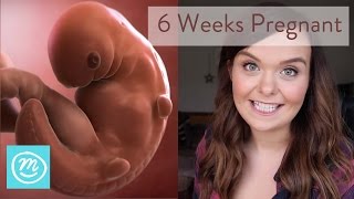 6 Months Pregnant  Pregnancy Symptoms amp Babys Development [upl. by Aicilihp]