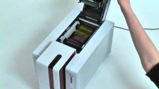 Evolis Primacy ID Card Printer Quick Installation Guide [upl. by Brinson415]