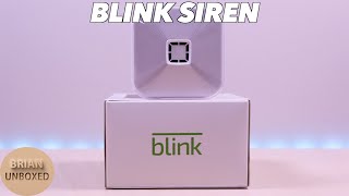 Blink Home Security Siren  Review Setup and Demo [upl. by Doownil]