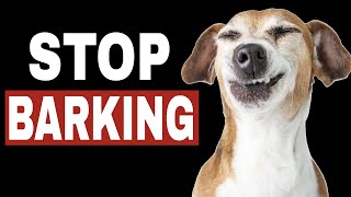 Sounds To Stop Dog Barking  HQ [upl. by Ylrebmek640]